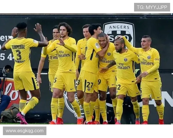 法甲观众分析及不同球场观众行为研究报告 法甲观众分析及不同球场观众行为研究报告