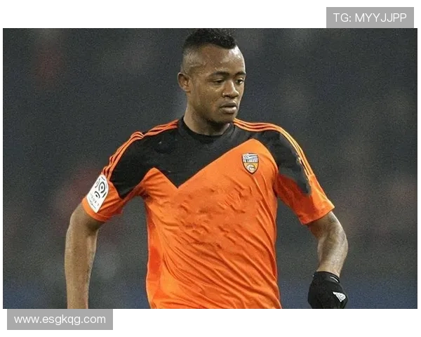 法甲里昂红黄牌数据统计与纪律管理