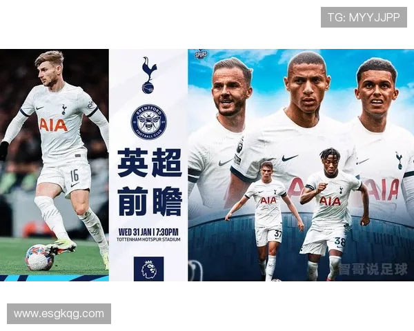 英超SPURS球队：热刺队（SPURS）在英超联赛中的历程与表现